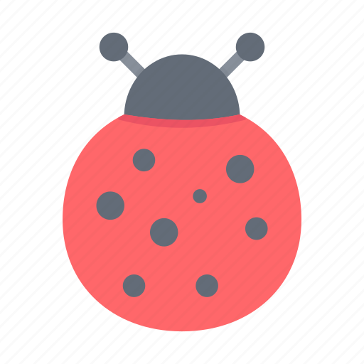 Bug, ladybug, luck, spring, autumn, fall, insect icon - Download on Iconfinder