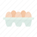egg, eggs, food, tray