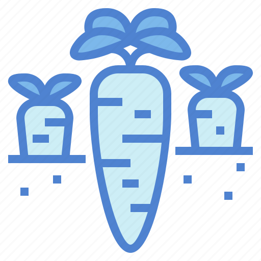 Carrot, diet, food, vegetable icon - Download on Iconfinder