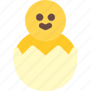 egg, chick, holiday, easter