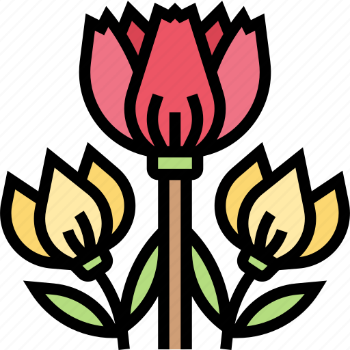 Tulip, flora, flower, garden, nature icon - Download on Iconfinder