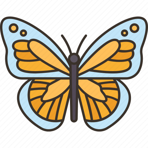 Butterfly, insect, garden, flower, spring icon - Download on Iconfinder