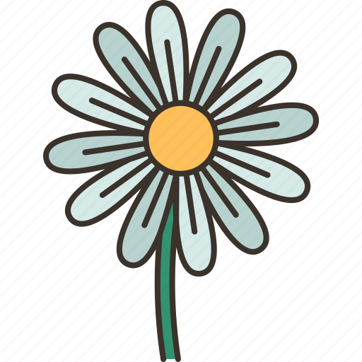 Daisy, flower, springtime, plant, nature icon - Download on Iconfinder