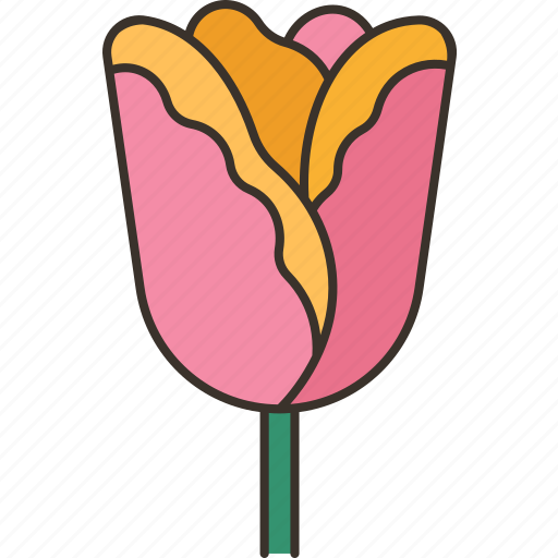 Tulip, flower, blossom, plant, spring icon - Download on Iconfinder