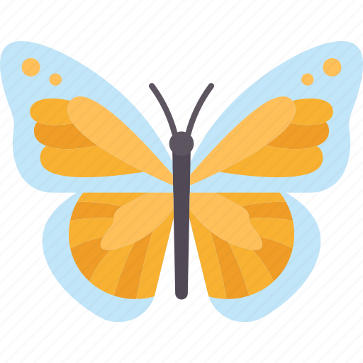 Butterfly, insect, garden, flower, spring icon - Download on Iconfinder