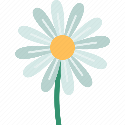 Daisy, flower, springtime, plant, nature icon - Download on Iconfinder