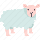 sheep, animal, agriculture, livestock, domestic