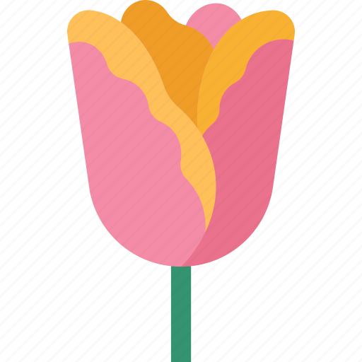 Tulip, flower, blossom, plant, spring icon - Download on Iconfinder