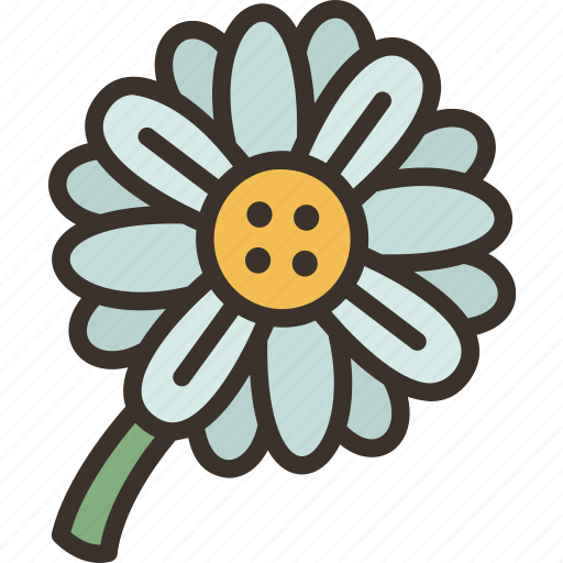 Daisy, flower, garden, spring, nature icon - Download on Iconfinder