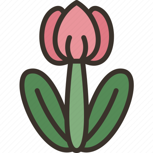 Tulip, flower, easter, spring, garden icon - Download on Iconfinder