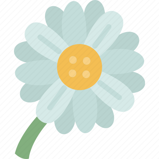 Daisy, flower, garden, spring, nature icon - Download on Iconfinder