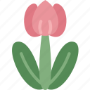 tulip, flower, easter, spring, garden