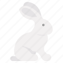 easter, rabbit, bunny, holiday, egg, decoration