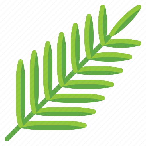 Palm, branch, tree, green icon - Download on Iconfinder