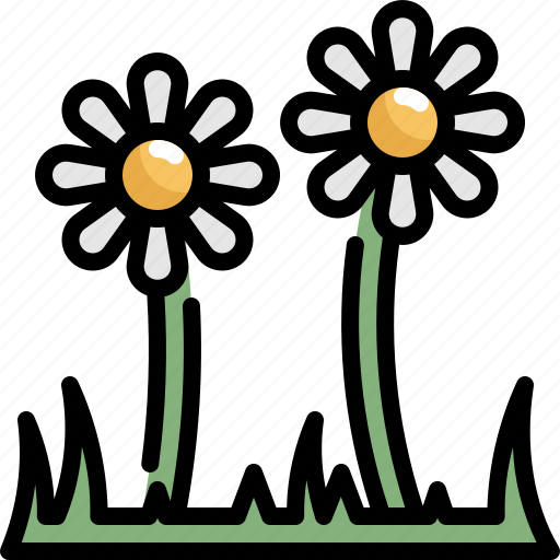 Daisy, flower, green, nature, plant, spring icon - Download on Iconfinder