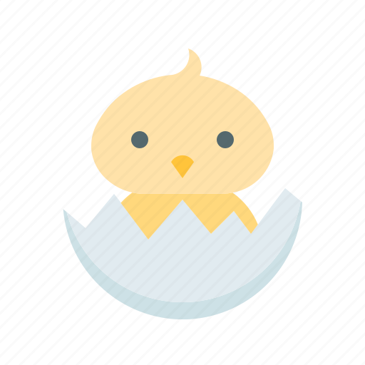 Chick, crack open, easter, egg, happy easter, holidays, spring season icon - Download on Iconfinder