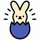 bunny, easter, egg, rabbit, cute, happy, born