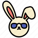 bunny, easter, rabbit, cool, sunglasses, cute, ears