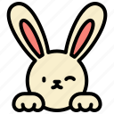 bunny, easter, spring, cute, rabbit, happy, ears 
