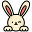 bunny, easter, spring, cute, rabbit, happy, ears 