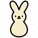 bunny, rabbit, easter, happy, spring, cute, ears