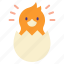 chick, chiken, egg, easter, born, cute, happy 