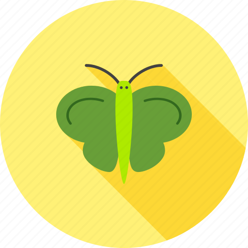 Beautiful, beauty, butterfly, insect, nature, spring, wing icon - Download on Iconfinder
