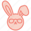 bunny, easter, rabbit, cool, sunglasses, cute, ears 