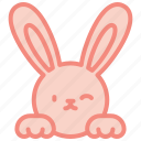 bunny, easter, spring, cute, rabbit, happy, ears
