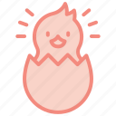 chick, chiken, egg, easter, born, cute, happy