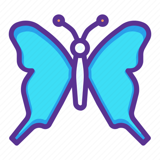 Beauty, butterfly, colorful, easter, insect, nature icon - Download on Iconfinder