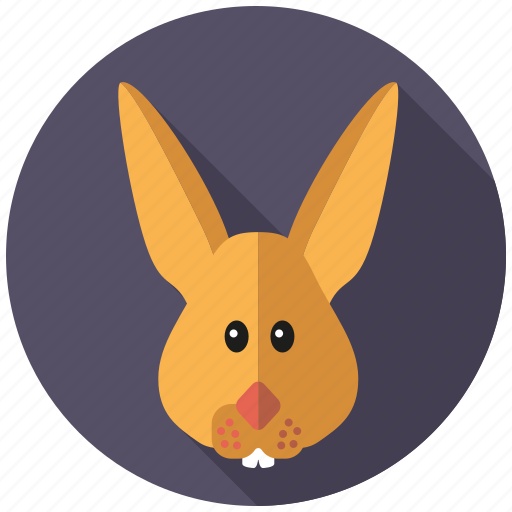Bunny, easter, easter bunny, hare, holidays, rabbit, religion icon - Download on Iconfinder