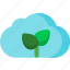 cloud, plant, cloudy, flower, forecast, nature, weather 