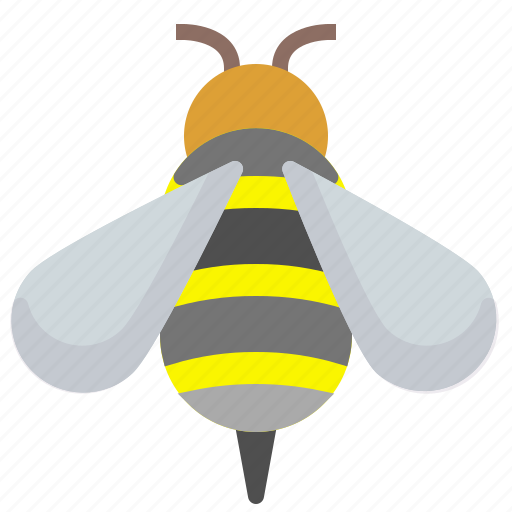 Bee, bio, honey, insect icon - Download on Iconfinder