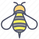 bee, bio, honey, insect