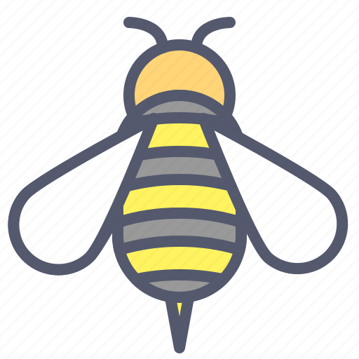 Bee, bio, honey, insect icon - Download on Iconfinder