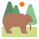 animal, bear, ecology, forest, nature