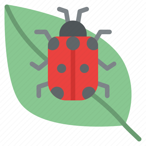 Ecology, ladybug, leaf, nature icon - Download on Iconfinder