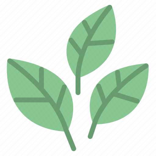 Ecology, leaf, leaves, nature, plant icon - Download on Iconfinder