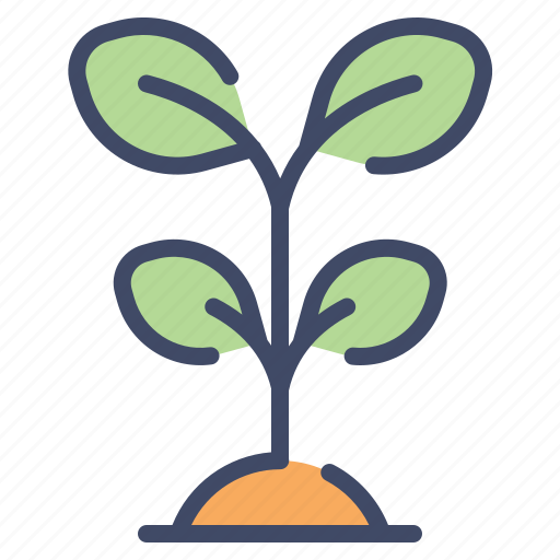 Eco, leaf, nature, plant, seed, tree icon - Download on Iconfinder