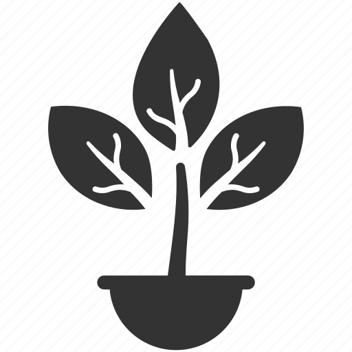 Nature, ecology, leaf, plant icon - Download on Iconfinder