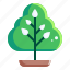 tree, plant, nature, environment, ecology, eco, green 