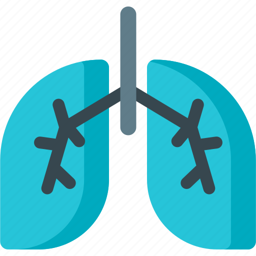 Breathe, air, breath, ecology, lungs, organ, pollution icon - Download on Iconfinder