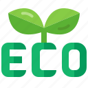 eco, plant, nature, ecology, biology, environment