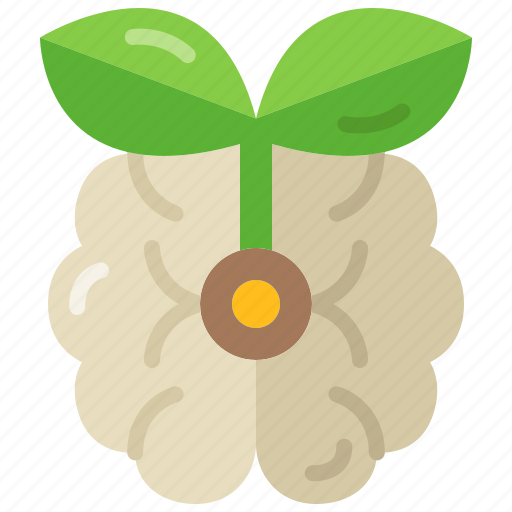 Eco, friendly, green, leaf, brain, think, awareness icon - Download on Iconfinder