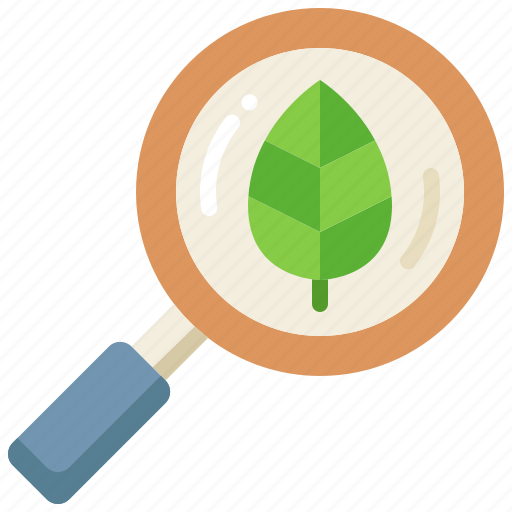 Research, search, eco, education, magnifying, glass icon - Download on Iconfinder