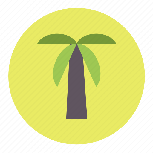Beach, ecology, environment, nature, palm, summer, tree icon - Download on Iconfinder