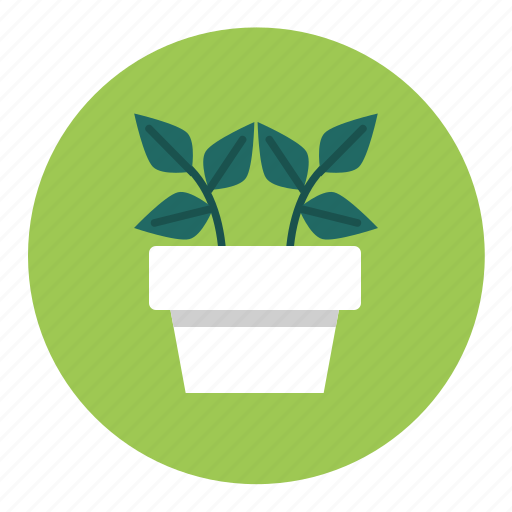 Ecology, home, house, modern, nature, plant, pot icon - Download on Iconfinder