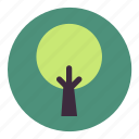 ecology, environment, green, leaf, nature, plant, tree