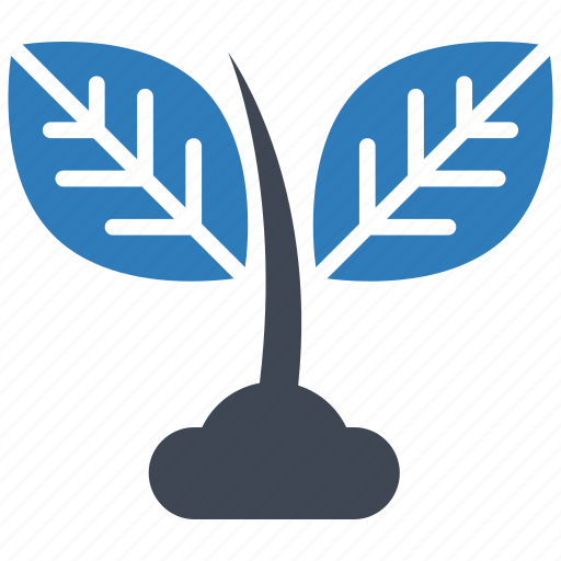 Ecology, grow, plant, green, leaf, eco, growth icon - Download on Iconfinder